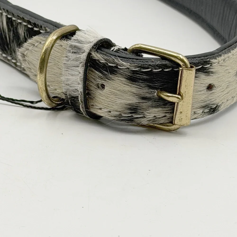 Myra Bag Cowhide Dog Collar Black White Spotted Leather Gold Bone Studs NEW XL